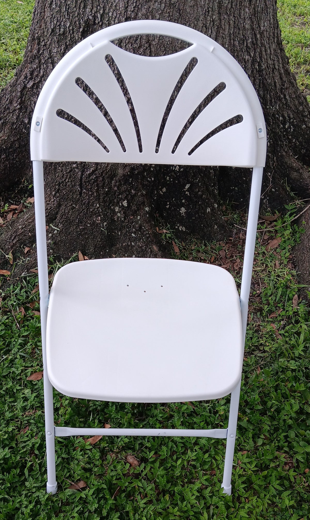 Folding Chair Rental | St. Petersburg, FL