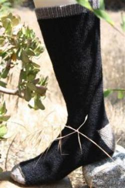 Black OutdoorAdventure alpaca sock with gray toe and cuff worn standing outdoors