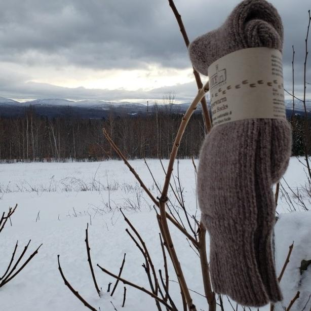 Pair of Superwarm alpaca socks with a paper band hanging on a bare branch in a snowy field