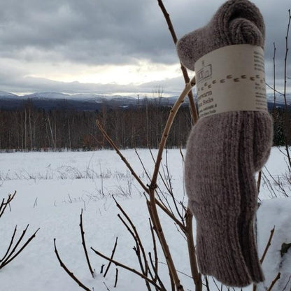 Pair of Superwarm alpaca socks with a paper band hanging on a bare branch in a snowy field